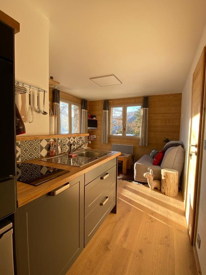 La Marmotte Qui Papote Apartman Le Grand-Bornand Kültér fotó
