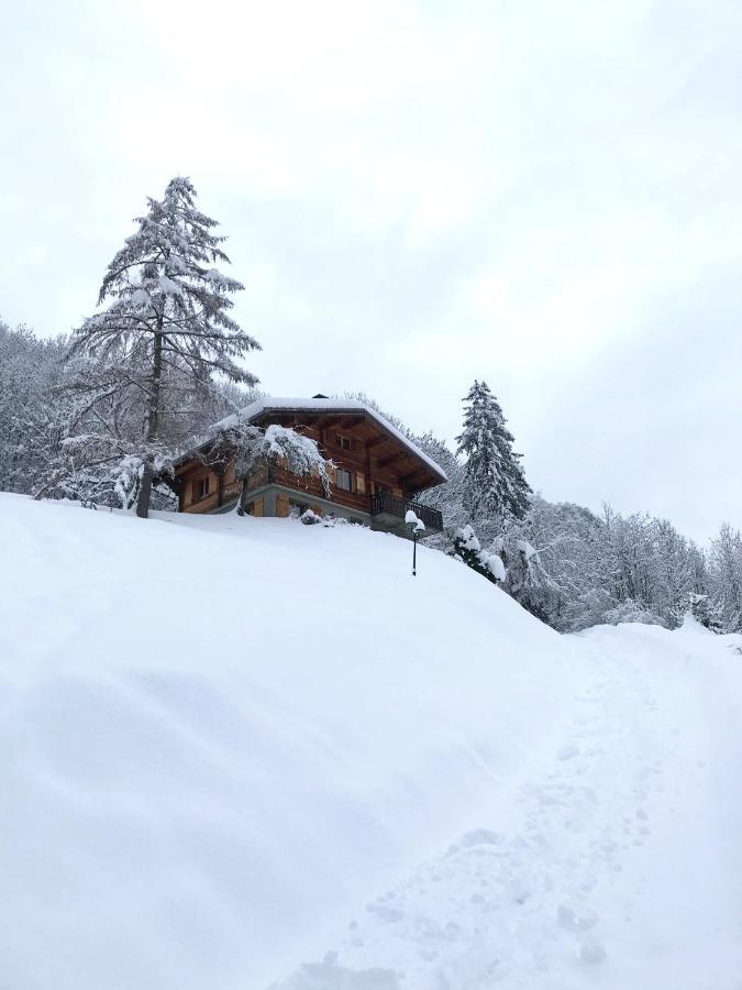 La Marmotte Qui Papote Apartman Le Grand-Bornand Kültér fotó