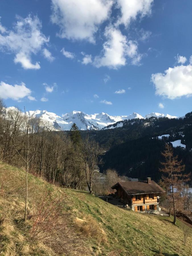La Marmotte Qui Papote Apartman Le Grand-Bornand Kültér fotó