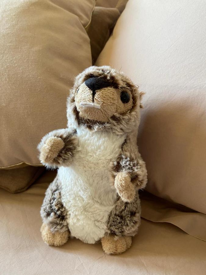 La Marmotte Qui Papote Apartman Le Grand-Bornand Kültér fotó