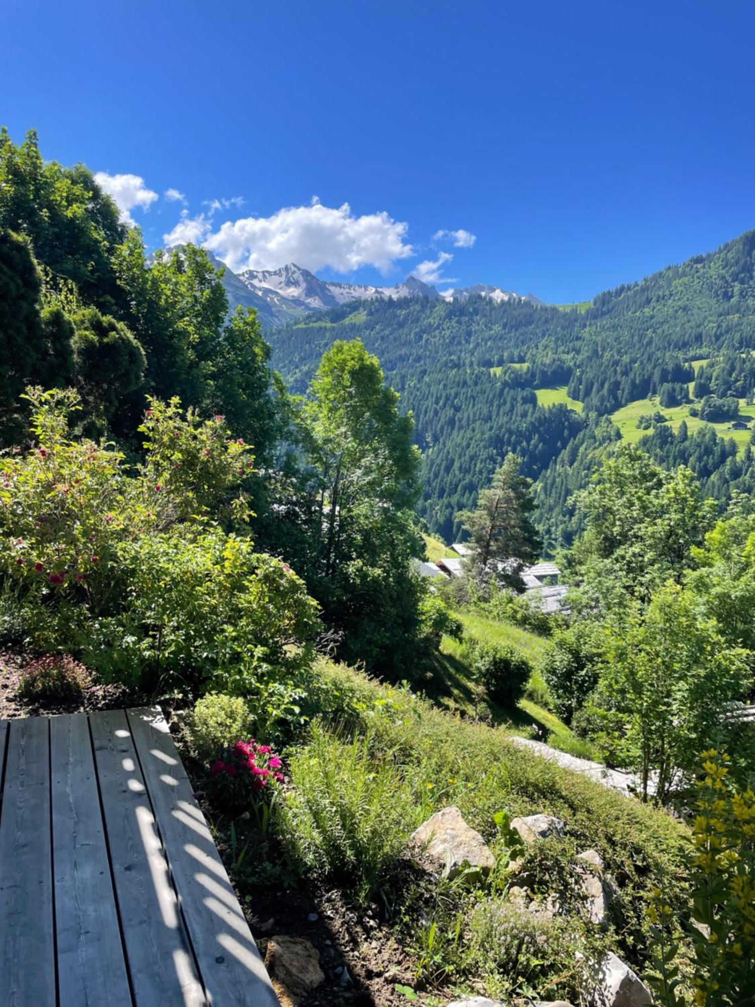 La Marmotte Qui Papote Apartman Le Grand-Bornand Kültér fotó